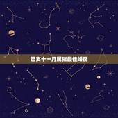 己亥十一月属猪最佳婚配，属猪的和什么属相最配_属猪的和什么属相不配