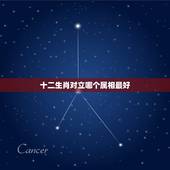 十二生肖对立哪个属相最好，十二生肖中哪个属相最好