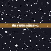 属猴不能婚配的属相是什么，属猴的生肖婚配表 属猴的和什么属相最配？
