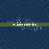 十二生肖怀孕是哪个属相，鼠和牛生什么属相的孩子好？