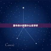 属牛的小孩取什么名字好，宝宝属牛的起什么样的名字好呢？