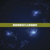 属鼠婚配和什么属相最好，属鼠最佳婚配属相