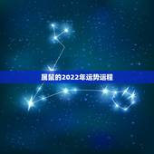 属鼠的2022年运势运程，92属猴2022运势及运程