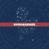 属狗男的最佳属相婚配，属狗的最佳配偶属相