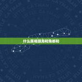 什么属相跟龙和兔都和，属龙和属兔合不合