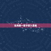 生肖猴一辈子贵人是谁，属猪的贵人是什么属相