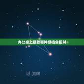 办公桌上摆放哪种绿植会招财，办公室摆放植物风水有哪些禁忌 办公室放什么