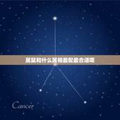 属鼠和什么属相最配最合适呢，属鼠和什么属相相最配