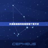 夫妻属相相刑和相害哪个更不好，相害和相刑什么意思