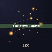 生肖蛇适合生什么属相的娃，属蛇的妈妈 生一个什么属相的宝宝好
