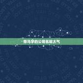 带马字的公司名称大气，求带“马”字的公司名称，两个字的，谢谢！