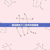 游治郎在十二生肖中的属相，12生肖动物的各个诗句