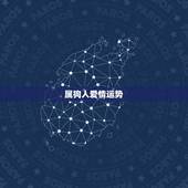 属狗人爱情运势，1970年属狗的女人怎样感情运势