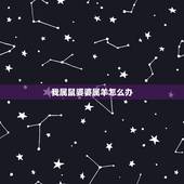 我属鼠婆婆属羊怎么办，91男羊96女鼠聚财吗