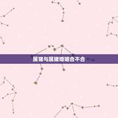属猪与属猪婚姻合不合，属猪的相配吗 属猪和属猪的婚姻合不合