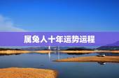 属兔人十年运势运程，属兔的适合戴玉吗