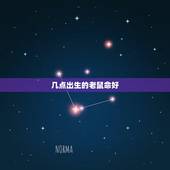 几点出生的老鼠命好，属鼠几点出生更好命女孩