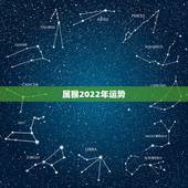 属猴2022年运势，2004年属猴女在2022年学业如何