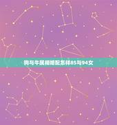 狗与牛属相婚配怎样85与94女，85年属牛的男生和94年属狗的女生配么