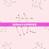 鼠适合生什么属相的宝宝，属鼠的妈妈和属猪的爸爸生个什么属相的宝宝好呢