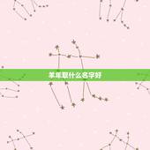 羊年取什么名字好，2022 鼠年取什么名字好