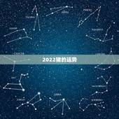 2022猪的运势，2022属猪人的全年运势如何