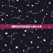 戊申日戊午时生的人是什么命，戊申日庚寅月
