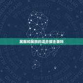 属猴和属狗的适合做夫妻吗，属猴的和属狗的配吗？