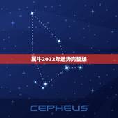 属牛2022年运势完整版，2022年十二生肖运势及运程详解