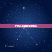 虎女与牛男婚姻幸福吗，属牛男和属虎女配吗 详细