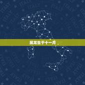 属龙生于十一月，2000年属龙的是什么命