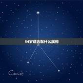 54岁适合配什么属相，什么属相搭配最佳
