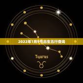 2022年1月9号出生五行查询，2022 年1月6号五行