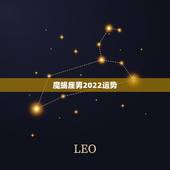 魔蝎座男2022运势，男生摩羯座运气怎么样