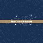 属虎人和什么属相最合财，属虎人和哪个属相合财？