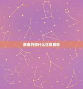 属兔的做什么生意最旺，1987年兔33岁后财运