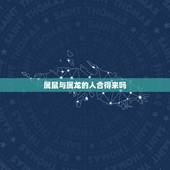 属鼠与属龙的人合得来吗，形容两个人合得来