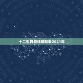 十二生肖最佳婚配表2021年，2021年十二生肖运势运程