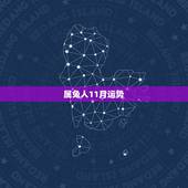 属兔人11月运势，2022 年属兔子11月份运气