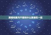 属猪和属马不能和什么属相在一起，属猪和属马能在一起吗