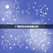 广西桃花运是谁唱红的，广西桃花运是怎么火的