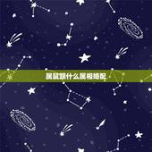 属鼠跟什么属相婚配，属鼠与什么属相相配