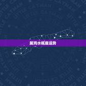 属鸡水瓶座运势，属鸡水瓶座09年运势