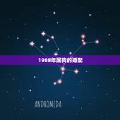 1988年属狗的婚配，1988年属龙男，和1994年属狗女，婚配好吗，
