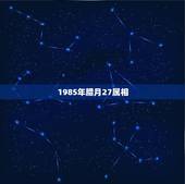 1985年腊月27属相，1986年的男虎2023年农历腊月二十八结婚。