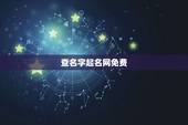 查名字起名网免费，网上起名字