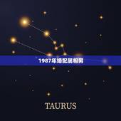 1987年婚配属相男，1987年属兔男和1991属羊女婚配