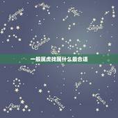 一般属虎找属什么最合适，属虎找个属什么的较好