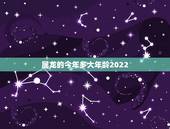 属龙的今年多大年龄2022，1976年的龙45岁后的财运