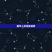 属牛人辛丑年运势，2022 辛丑年
